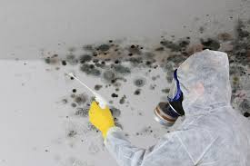 Best Water Damage & Mold Remediation  in Butler, NJ